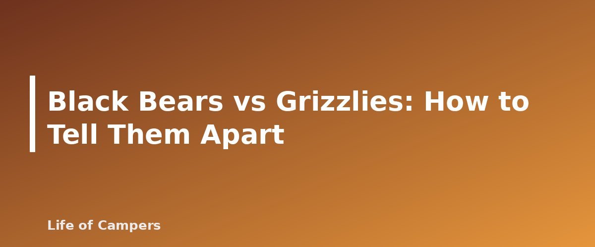 Black Bears vs Grizzlies: How to Tell Them Apart - section banner for Bear Safety While Camping