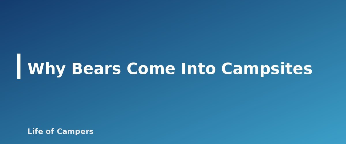 Why Bears Come Into Campsites - section banner for Bear Safety While Camping