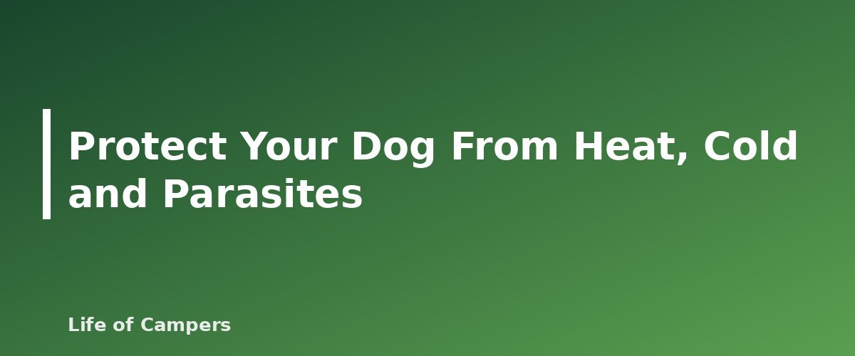 Protect Your Dog From Heat, Cold and Parasites - illustration for Camping With Dogs: A Practical First-Trip Guide