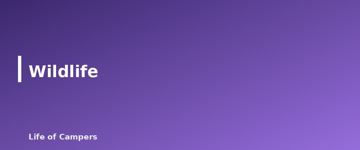 Wildlife - section banner for Desert Camping Tips