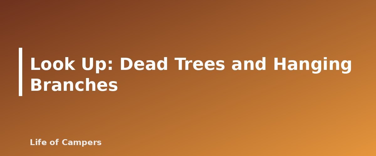Look Up: Dead Trees and Hanging Branches - section banner for How to Choose a Safe Campsite