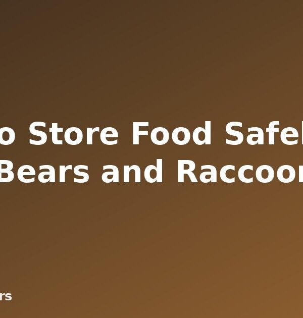 How to Store Food Safely From Bears and Raccoons - featured image