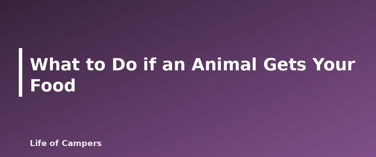 What to Do if an Animal Gets Your Food - illustration for How to Store Food Safely From Bears and Raccoons