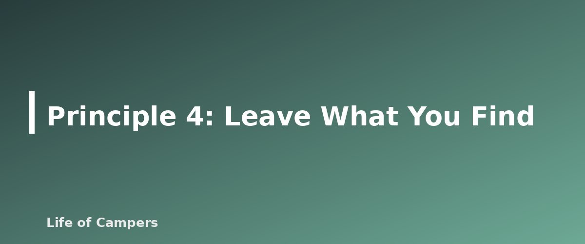 Principle 4: Leave What You Find - illustration for Leave No Trace for Campers: The 7 Principles in Practice