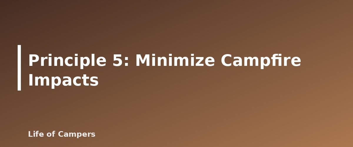Principle 5: Minimize Campfire Impacts - illustration for Leave No Trace for Campers: The 7 Principles in Practice
