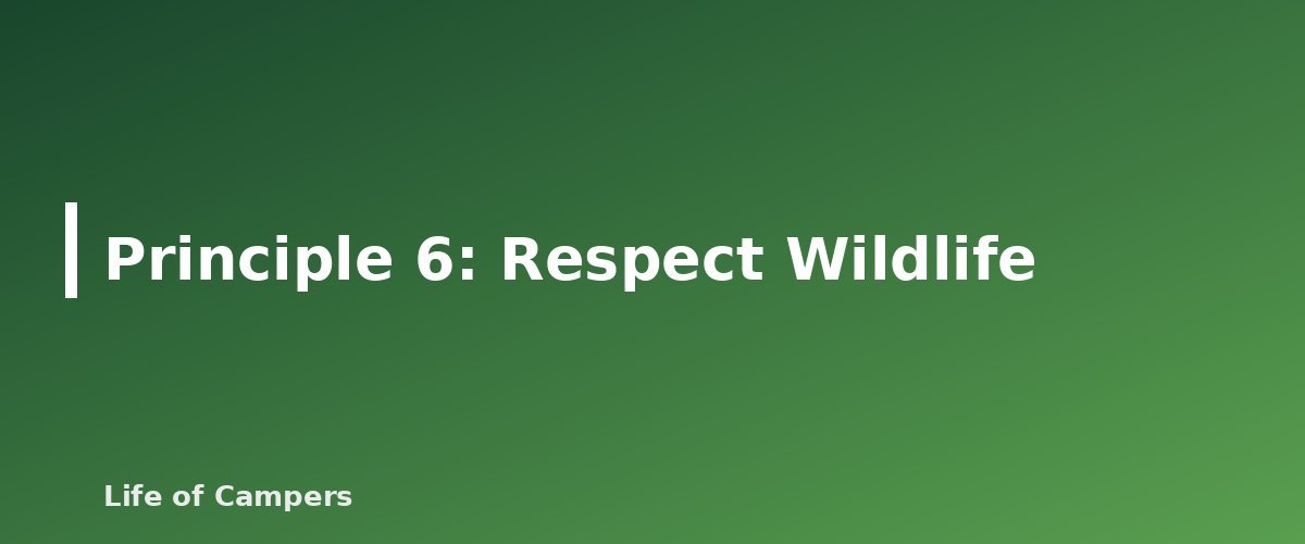 Principle 6: Respect Wildlife - illustration for Leave No Trace for Campers: The 7 Principles in Practice