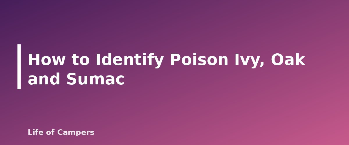 How to Identify Poison Ivy, Oak and Sumac - section banner for Poison Ivy, Oak and Sumac for Campers