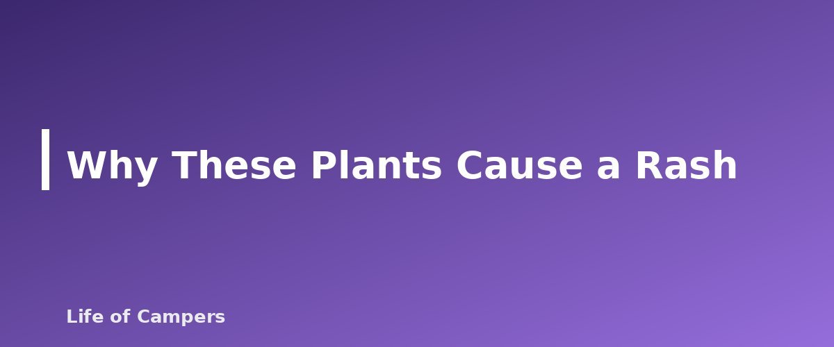 Why These Plants Cause a Rash - section banner for Poison Ivy, Oak and Sumac for Campers