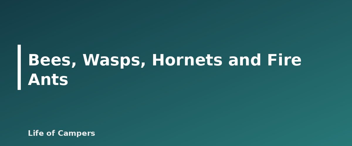 Bees, Wasps, Hornets and Fire Ants - illustration for Snake and Insect Safety at the Campsite