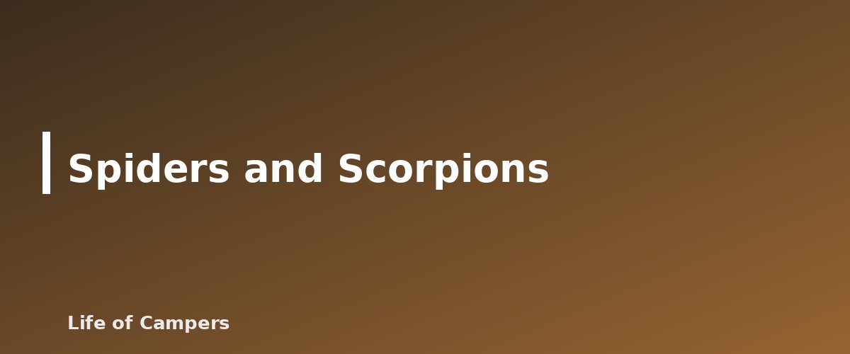 Spiders and Scorpions - illustration for Snake and Insect Safety at the Campsite