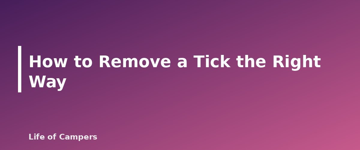 How to Remove a Tick the Right Way - section banner for Tick Prevention and Removal for Campers
