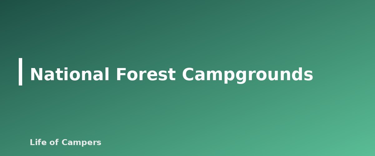 National Forest Campgrounds - section banner for Types of RV Campgrounds Explained